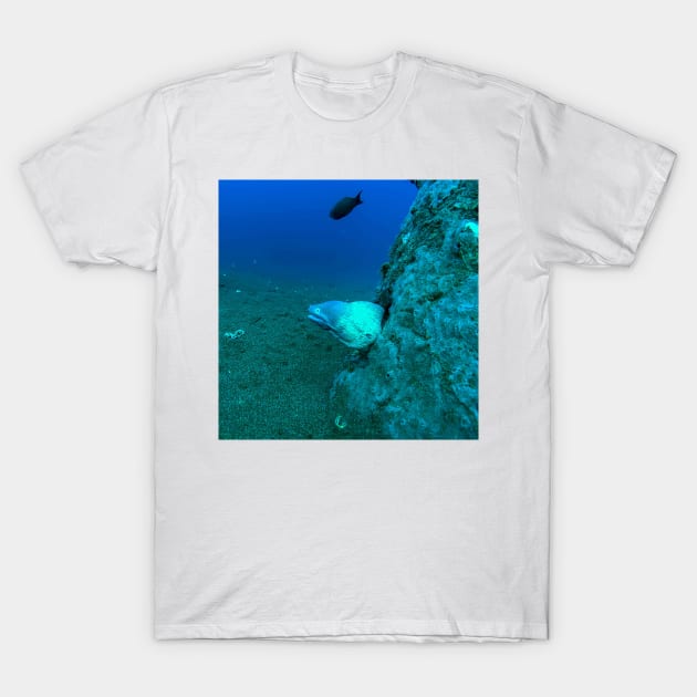 Button Eye Moray Eel T-Shirt by likbatonboot